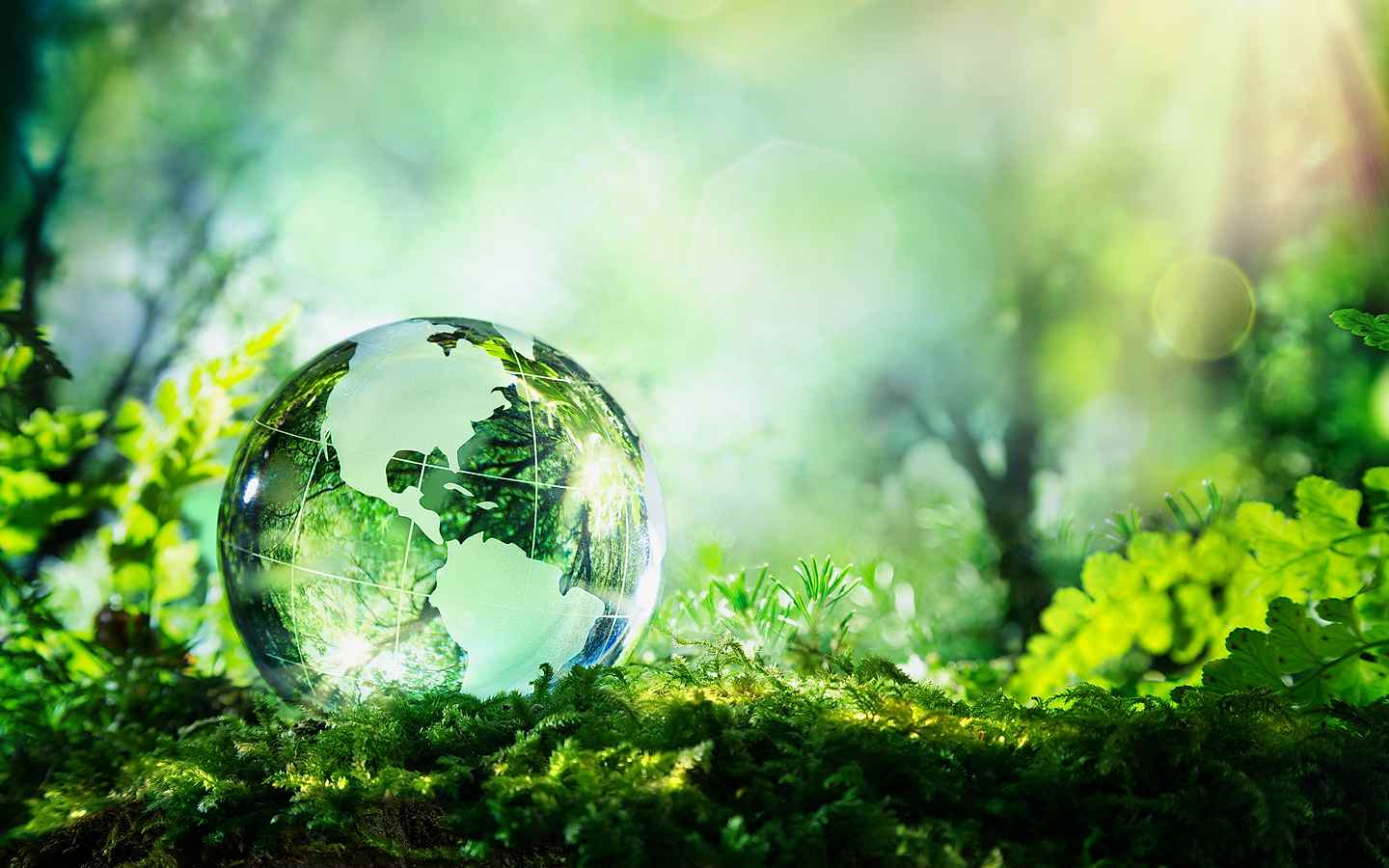ecology-concept-img